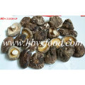 5.5cm вверх Сушеные питательные гладкие грибы Шиитаке